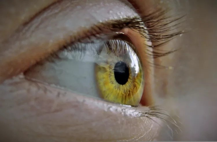 Close up of a pale green yellow eye